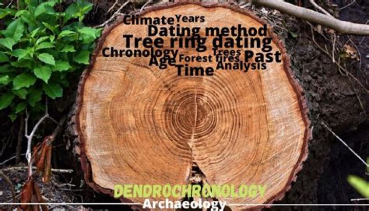 Unveiling The Secrets Of Ancient Trees: Discoveries From Tree-Ring Dating