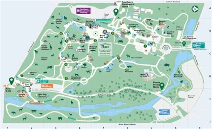 Unveiling The Secrets Of Bronx Zoo's Veterinary Marvels: Discoveries And Insights