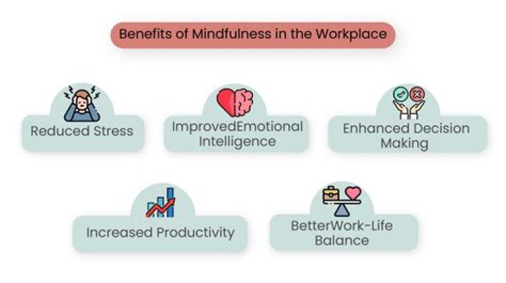 Unveiling The Secrets Of Mindfulness In The Digital Age With Shally Zomorodi