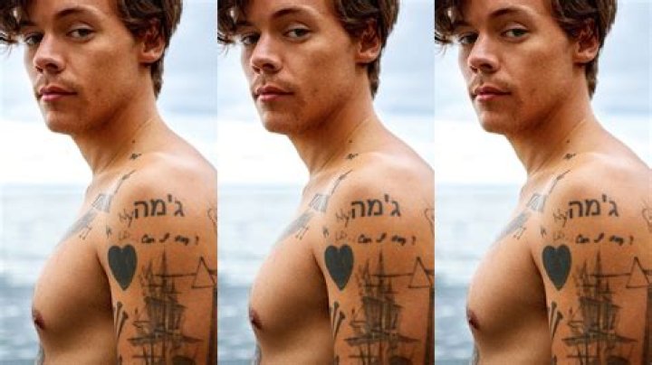 Unveiling The Truth Behind Harry Styles' Naked Images: Exclusive Insights Revealed