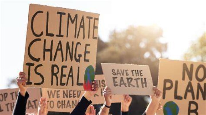 Unveiling The Work Of Climate Change Advocate Charlotte Samco Crawford