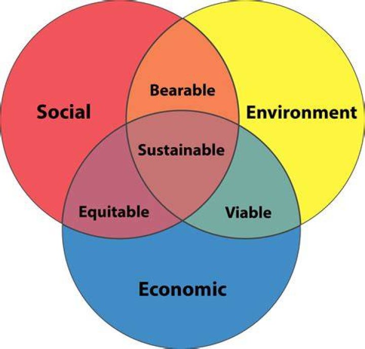 Unwrap Value, Sustainability, And Festive Cheer