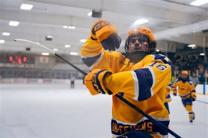 UWSP Men&rsquo;s Hockey Focused on 20142015 Season The Pointer