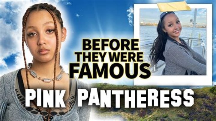 When did PinkPantheress & Destroy Lonely start making music?