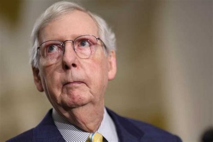 Who is Elly McConnell? 13 fascinating facts to know about Mitch