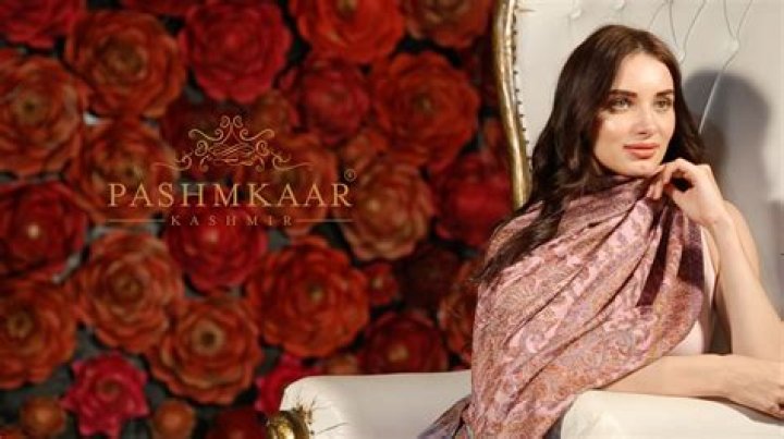 Wikkikashmir 9 successful kashmirorigin people, who are famous