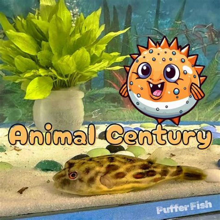William Scallon, Age 1, Pufferfish Graduate Evo Swim School